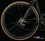 rim1.jpeg