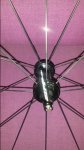 20150510_120820.jpg