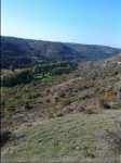 foto 4.jpg