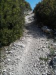foto1.jpg