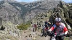 IMG_9935.JPG