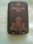 polar1.jpg
