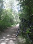20150511_135701.jpg