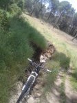20150511_140426.jpg