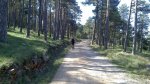 DSC_2514.jpg