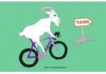 1376050453_33_FT189686_kom-goat-website.jpg