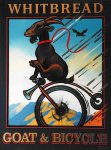 Goat-20and-20bike.jpg
