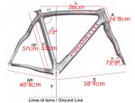 Pinarello FP2 Geo copia.jpg