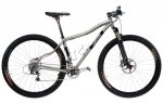 Willits Trail King abollá.JPG