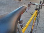2015-05-15 12.17.16.jpg