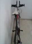 CAM00770.jpg
