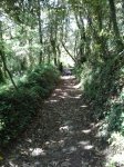 20150516_171555.jpg