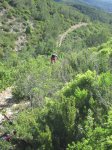 IMG_9503.JPG