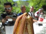 IMG_9530.JPG