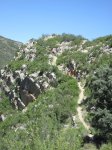 IMG_9562.JPG