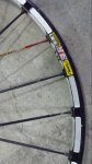 20150419_204509.jpg