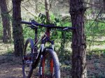 Ktm3.jpg