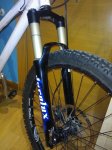 WP_002763.jpg