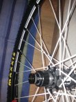 IMG_20150516_204824.jpg