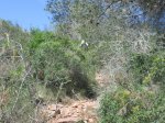 IMG_9582.JPG