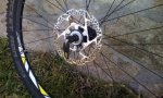 IMG-20150521-WA0014_856x514.jpg