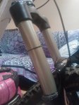 WP_002778.jpg