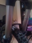 WP_002781.jpg