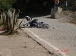 DSC03528.JPG