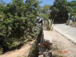 DSC03530.JPG