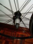 DSCF0166.JPG