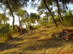 DSC00653.JPG