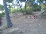 DSC00678.JPG