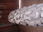 100_7241.jpg