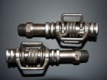 DSC02551.jpg