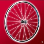 xycloneRace-photo.jpg