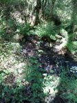 20150523_183810.jpg