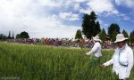 140-206f6cec-4bb2-4227-86d4-7ef5bbc07073.jpg