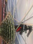 IMG-20150524-WA0002.jpg