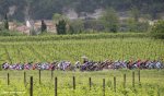 giro15st11-vine-peloton-big.jpg