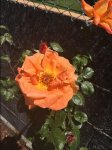 2015-05-25 15.06.51.jpg