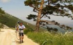 Bici 07.jpg