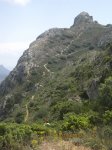 IMG_5575.jpg