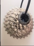 image1.jpeg