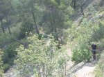 IMG_9710.JPG