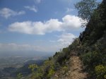 IMG_9719.JPG
