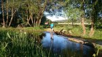 DSC_0966.JPG