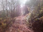 DSC03984.JPG