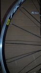 IMG-20150323-WA0010.jpeg