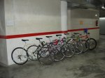 DSC05764.jpg