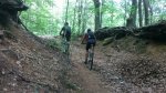 IMG_20150531_131013.jpg